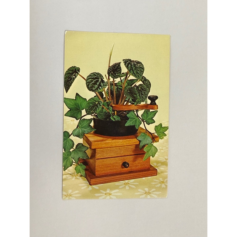 Vintage Coffee Mill Planter Postcard National Handcraft Des Moines Iowa J4073